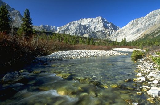 mountain stream