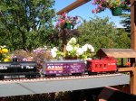 G Gauge Switcher