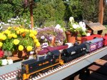 G Gauge Switcher